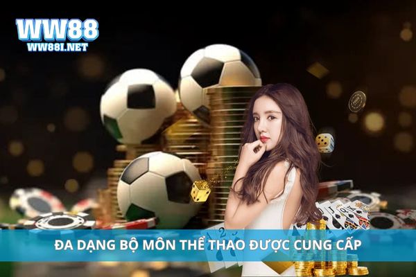 Đa dạng bộ môn thể thao được cung cấp